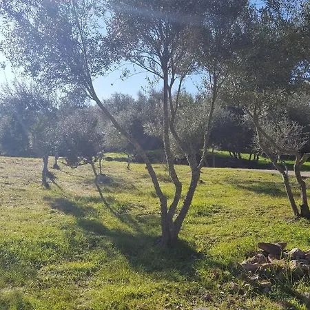 Holiday home Casa Fontana Di Radice 1 *